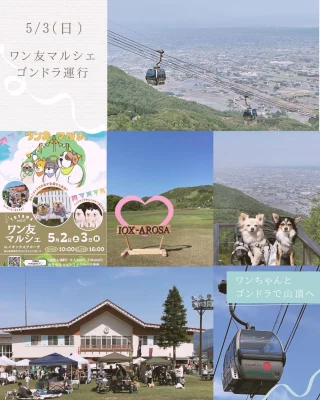 IOX-AROSA｜イオックスアローザ｜富山南砺市スキー場